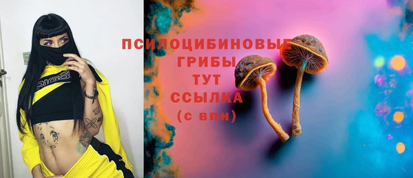 дживик Медногорск