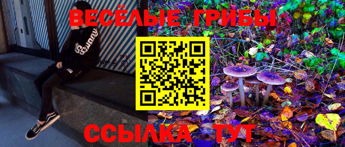Геленджик  магазин продажи наркотиков  Вход с VPN  Галлюциногенные грибы ЛСД 