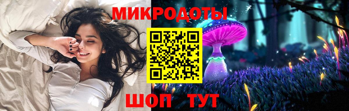 Галлюциногенные грибы Psilocybe Геленджик